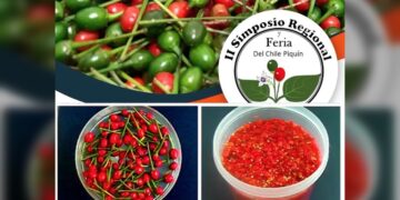 Realiza la UAT acciones para la conservación y aprovechamiento del chile piquín