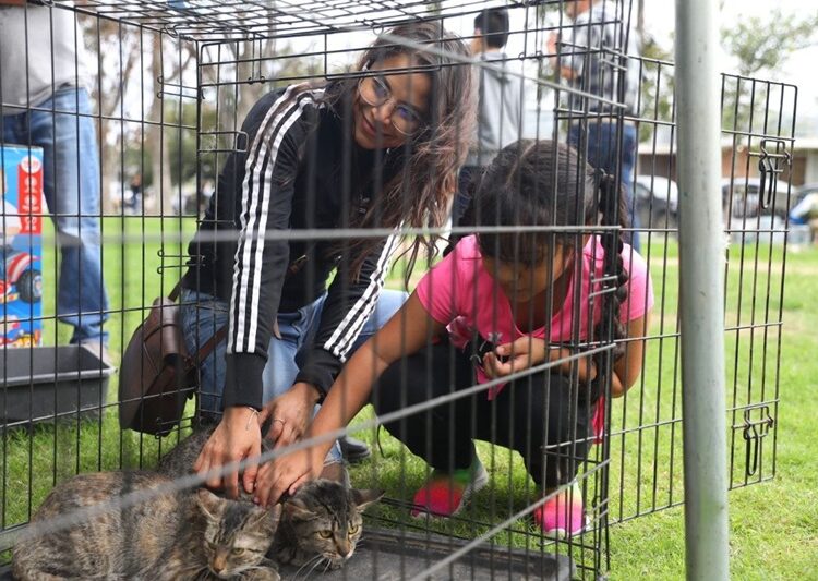 Realizará Gobierno de NLD Feria de Adopción Canina y Felina