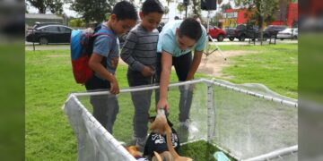 Realizará Gobierno de NLD Feria de Adopción Canina y Felina