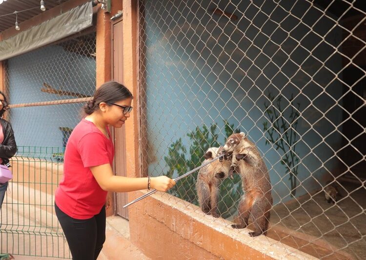 Se divierten ciudadanos con actividad “Ofrenda a tu Ex”