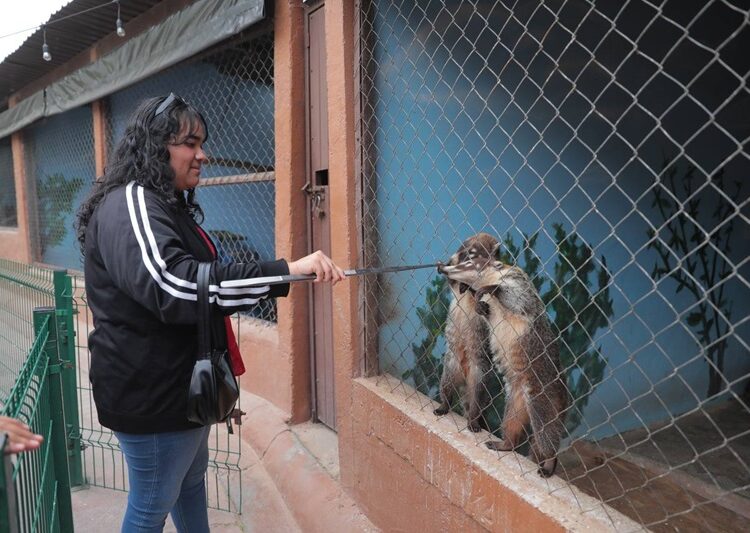 Se divierten ciudadanos con actividad “Ofrenda a tu Ex”