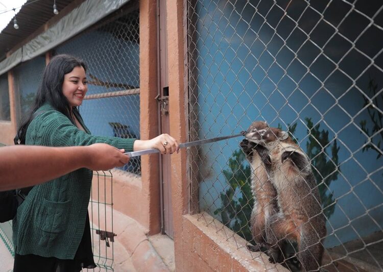 Se divierten ciudadanos con actividad “Ofrenda a tu Ex”