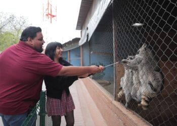 Se divierten ciudadanos con actividad “Ofrenda a tu Ex”