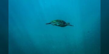 Carlos Slim vs. reforma a pensiones de AMLO; sería un ‘retroceso de 26 años’, advirtió