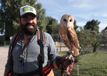 En NLD, controlan plaga de palomas en el zoológico de la ciudad
