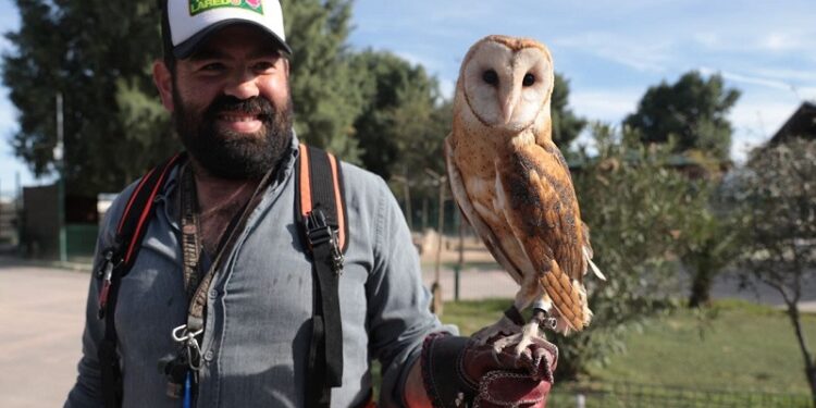 En NLD, controlan plaga de palomas en el zoológico de la ciudad