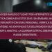 SSP de Tamaulipas previene y orienta sobre ciberdelitos en el marco del 14 de febrero