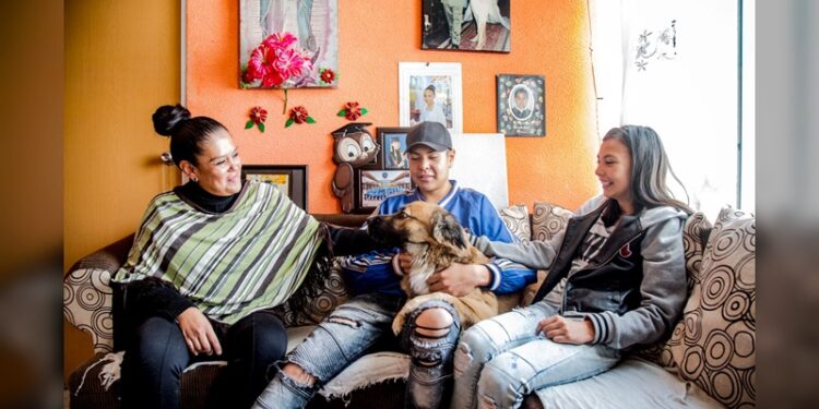 Dile adiós al calor con Mejoravit repara