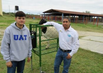Estudiante de la UAT desarrolla innovador sistema de monitoreo de alimentación de borregos