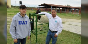 Estudiante de la UAT desarrolla innovador sistema de monitoreo de alimentación de borregos