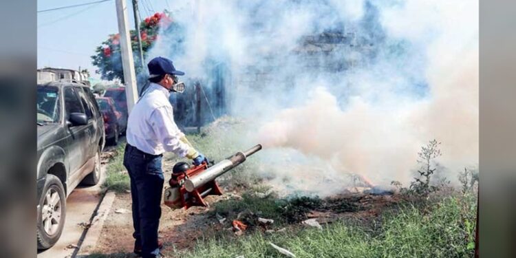 Cumple NLD 14 meses continuos sin casos positivos de dengue