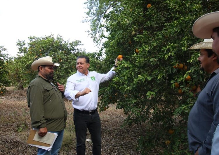 Impulsa Eugenio propuestas de Sheinbaum para tecnificar el campo