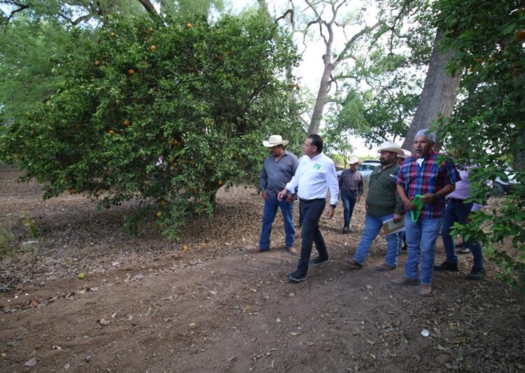 Impulsa Eugenio propuestas de Sheinbaum para tecnificar el campo