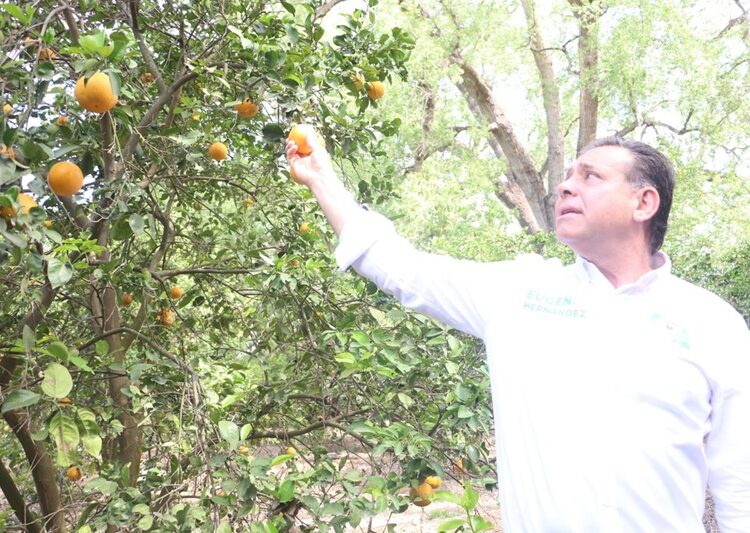 Impulsa Eugenio propuestas de Sheinbaum para tecnificar el campo