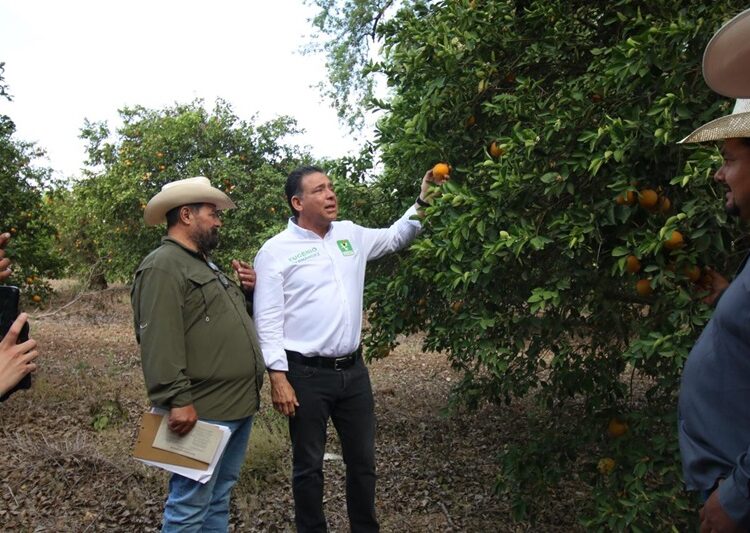 Impulsa Eugenio propuestas de Sheinbaum para tecnificar el campo