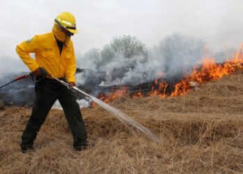 Incendio en la Sierra madre de Tamaulipas afecta 180 has de superficie