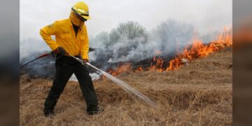 Incendio en la Sierra madre de Tamaulipas afecta 180 has de superficie