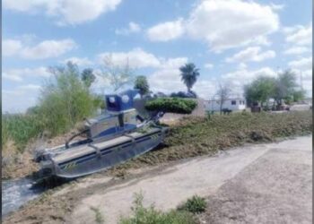 Continúan sacando lirio acuático en el Laguito de NLD