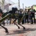 Ponen a prueba perro robot en España