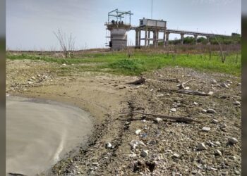 Presa Vicente Guerrero baja al 9.3 por ciento