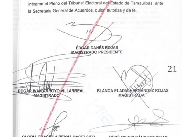 Restituye Tribunal Electoral Derechos Partidistas y Presidencia del PAN Tampico a Nora Gómez