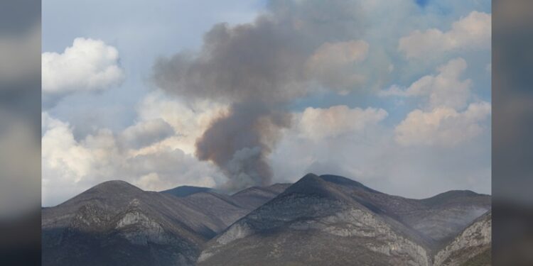 Solo en Victoria, 3 mil has están en riesgo por incendios forestales