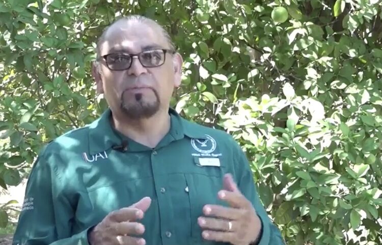 Aporta UAT innovaciones para la producción citrícola en Tamaulipas