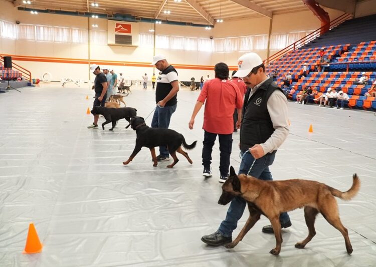 El rector de la UAT inaugura curso de adiestramiento canino K-9
