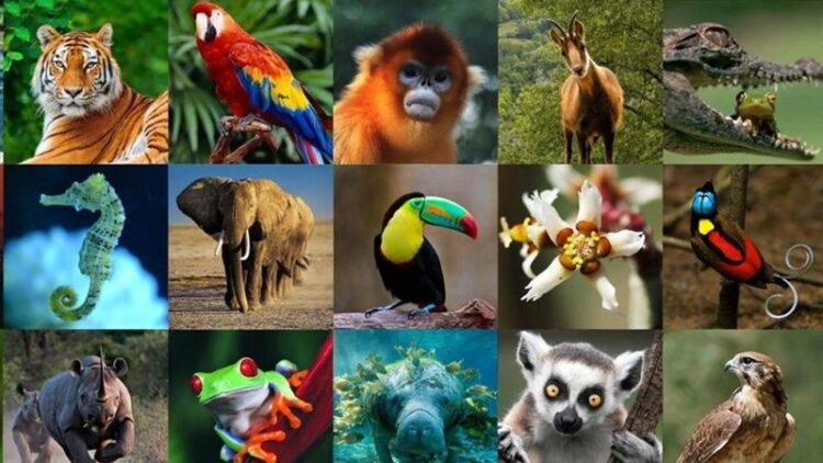 22 de abril, ‘Día de la Tierra’ 2024