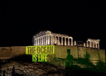 Greenpeace solicita declarar zonas protegidas al 30% de los mares