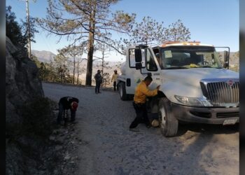 Incendio forestal en Miquihuana arrasa con 425 hectáreas de pino