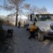 Incendio forestal en Miquihuana arrasa con 425 hectáreas de pino