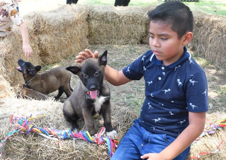 La SSPT premia a ganadores que nombraron a cachorros de la Guardia Estatal canina