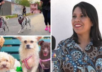 Preparan el 6º Perrotón Victoria 2024 en el Parque La Loma