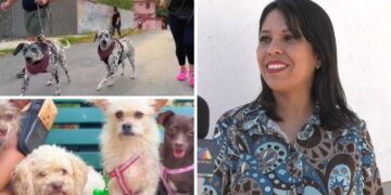 Preparan el 6º Perrotón Victoria 2024 en el Parque La Loma