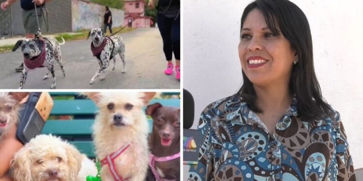 Preparan el 6º Perrotón Victoria 2024 en el Parque La Loma