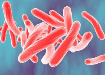 Personas de la Preparatoria de San Benito recibieron resultados negativos de tuberculosis