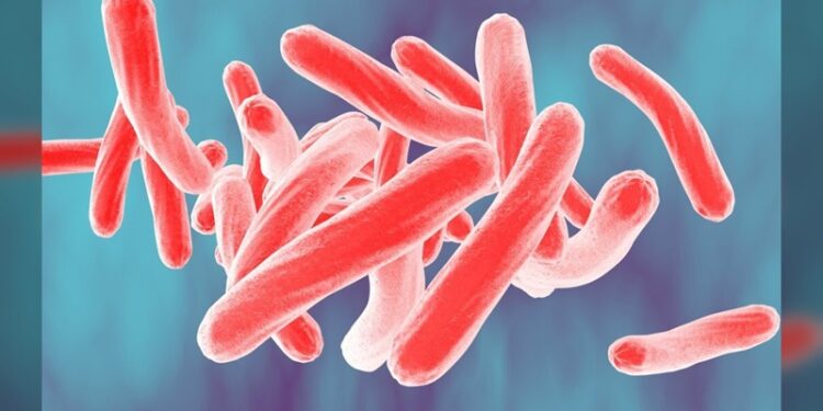 Personas de la Preparatoria de San Benito recibieron resultados negativos de tuberculosis