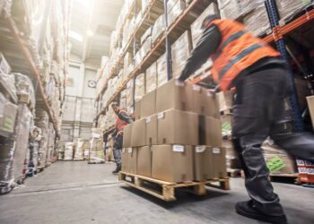 Estrategias para la fijación de precios dinámica en cotizaciones de envíos