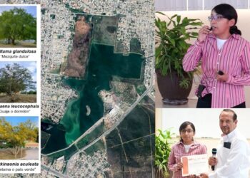 Analiza la UAT el uso de plantas nativas para recuperar suelos contaminados