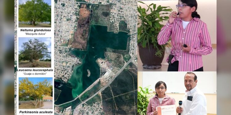 Analiza la UAT el uso de plantas nativas para recuperar suelos contaminados