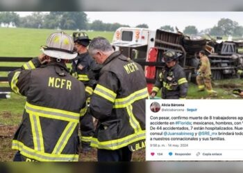 SRE confirma muerte de 8 mexicanos en terrible volcadura en Florida