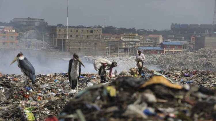 17 de mayo: ‘Día Mundial del Reciclaje’ 2024