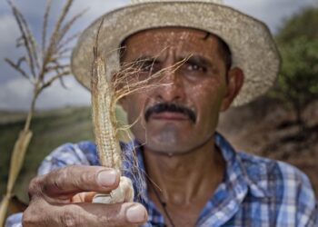‘El Niño’ agravó la situación alimentaria de millones de personas en Centroamérica