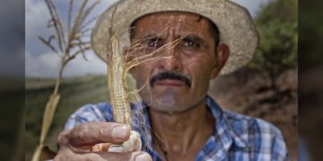 ‘El Niño’ agravó la situación alimentaria de millones de personas en Centroamérica