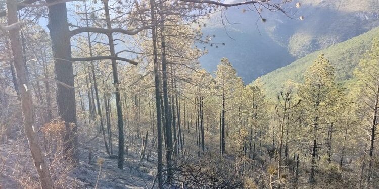 Extinguen incendio en Cañón del Novillo