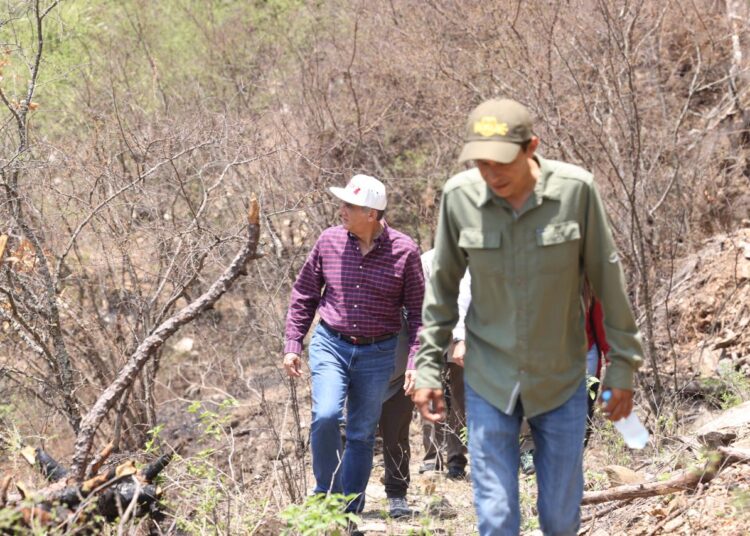 Supervisa AVA trabajos en el Cañón del Novillo
