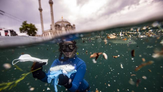 17 de mayo: ‘Día Mundial del Reciclaje’ 2024