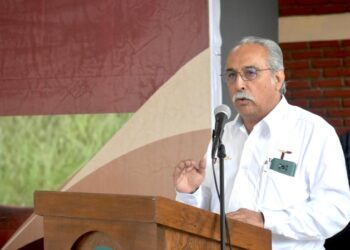 Recibirán productores tamaulipecos de sorgo precios justos