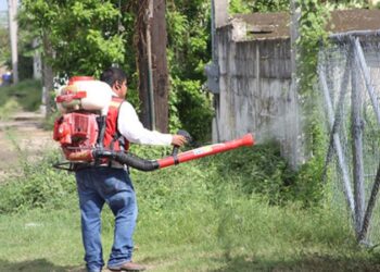 Reporta Salud Federal 84 casos de Dengue en Tamaulipas, y ninguno de zika o chinkunguya